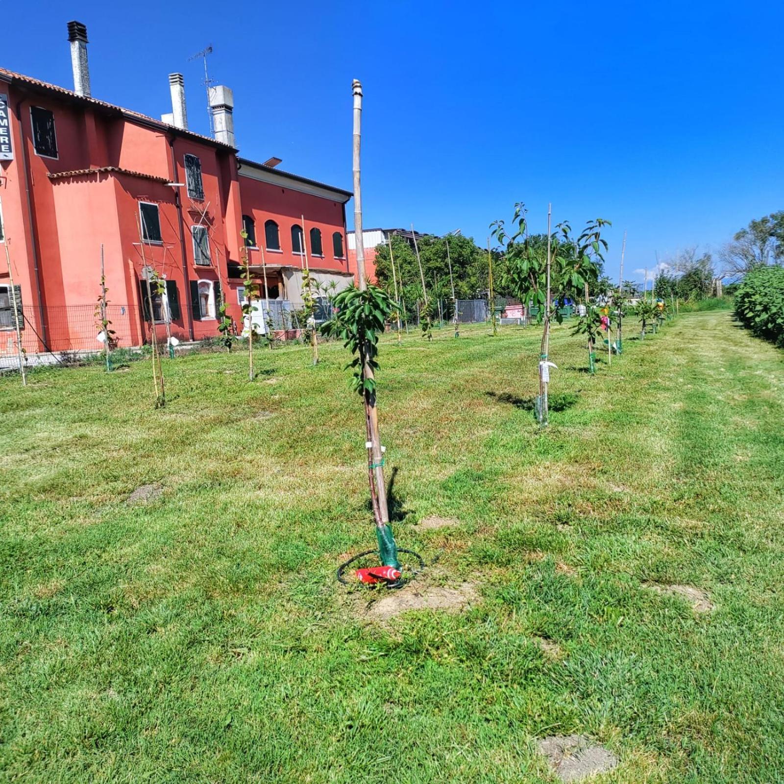 Quadrifoglio Relax Guest House San Dona di Piave Bagian luar foto