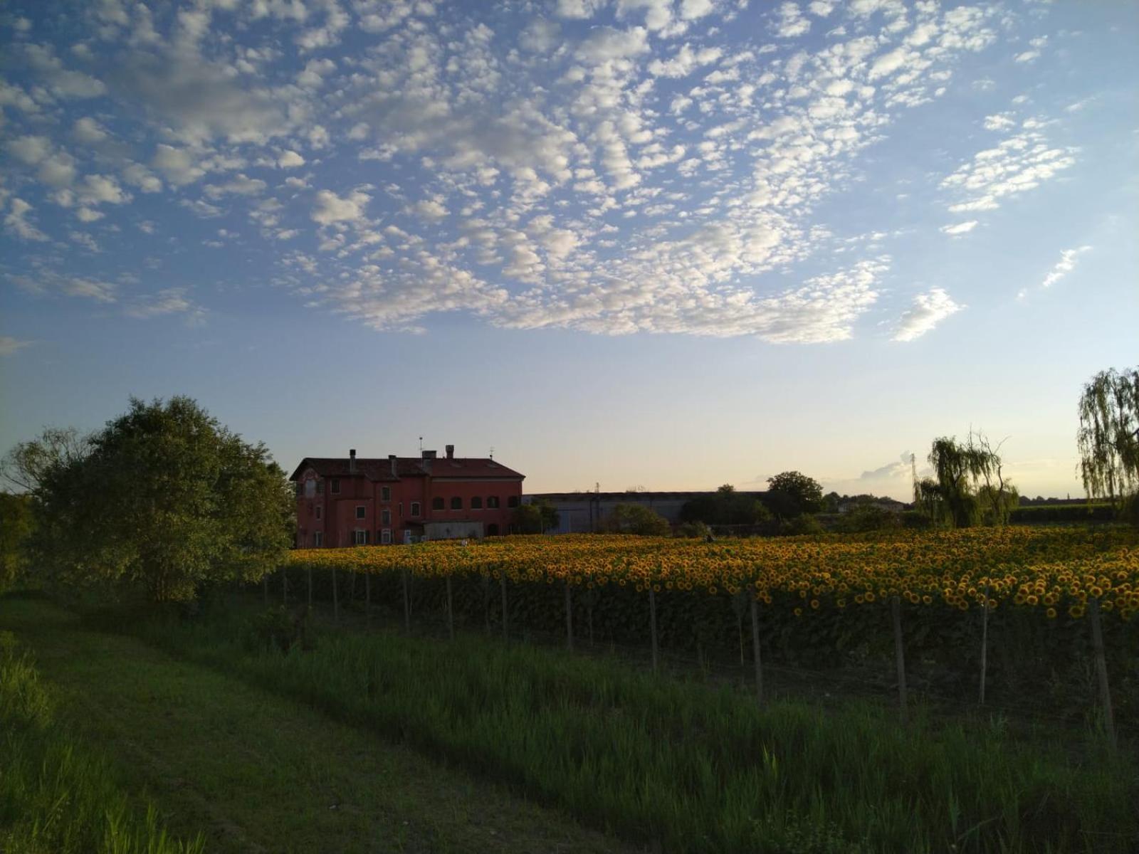 Quadrifoglio Relax Guest House San Dona di Piave Bagian luar foto